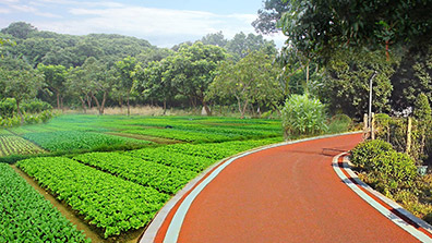 美環(huán)境，惠民生，繪就美麗圩鎮(zhèn)實景圖